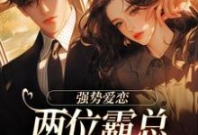 纵意沉沦这本小说怎么样？免费在线阅读试试-酷猫文学