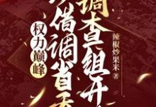 完整版《权力巅峰：从借调省委调查组开始》小说免费阅读-酷猫文学