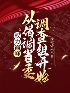 完整版《权力巅峰：从借调省委调查组开始》小说免费阅读