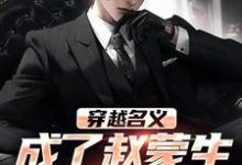 小说《穿越名义,成了赵蒙生的儿子》完整版章节免费阅读-酷猫文学