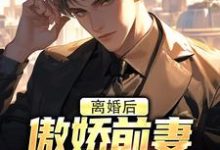 小说《离婚后，傲娇前妻被疯狂打脸》完整版章节免费阅读-酷猫文学