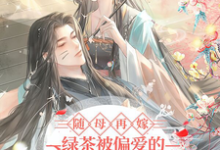 小说《随母再嫁！绿茶被偏爱的有恃无恐》章节免费阅读-酷猫文学