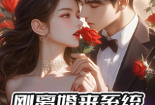 在线寻找刚离婚来系统,反手撩前妻闺蜜小说的无删减版本-酷猫文学