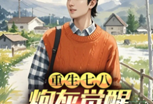 已完结小说《重生七八：炮灰觉醒，前妻你急啥》在线章节阅读-酷猫文学