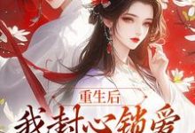 小说《重生后,我封心锁爱,皇帝请离开》在线章节阅读-酷猫文学