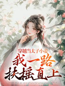 穿越当太子小妾，我一路扶摇直上小说阅读，穿越当太子小妾，我一路扶摇直上完结版