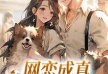 苏念初小说网恋成真，这小子乐癫了完整版阅读-酷猫文学