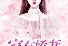 苏岩完整版小说《家有娇妻》免费阅读-酷猫文学