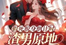 假死脱身倒计时，渣男原地哭成狗小说完结了吗？在哪里可以免费读到？-酷猫文学