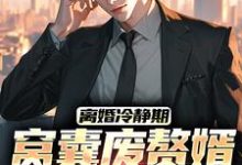 已完结小说《离婚冷静期，窝囊废赘婿黑化了》章节在线阅读-酷猫文学