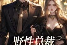 完结版《野性总裁穿上娇夫马甲》免费阅读-酷猫文学