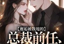 已完结小说《邂逅被我甩的总裁前任,他又爱了!》章节免费阅读-酷猫文学