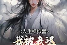 人生模拟器：我被老婆逼成世间极境小说的所有章节都能在哪里免费读到？-酷猫文学