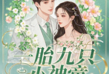 一胎九只小神童，萧爷的独家宠爱小说全文哪里可以免费看？-酷猫文学