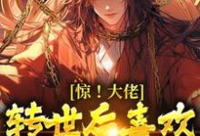 完结版《惊！大佬转世后喜欢扮猪吃虎》章节阅读-酷猫文学