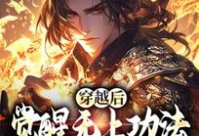 完整版的穿越后，觉醒无上功法的我要复仇了小说在哪里可以免费读到？-酷猫文学