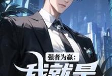 强者为赢：我就是权力中心赵阳小说大结局免费试读-酷猫文学