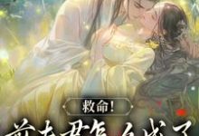 完整版小说《爱你太苦，这辈子打死我都不嫁了》免费阅读-酷猫文学