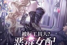 《被标工具人？恶毒女配甩男主求自由》小说大结局免费试读 宋以宁小说-酷猫文学