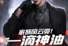 石宽小说完整版《家族风云变！一滴神油搅动乾坤》免费阅读-酷猫文学