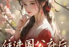 小说完整版《住进国公府后，我成了香饽饽！》免费阅读-酷猫文学