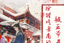 萧云裳沈墨寒小说《扮猪吃老虎的公主，被王爷看上了》完整版免费阅读-酷猫文学