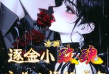 诱捕逐金小玫瑰,疯批大佬很护食钱亿由景,诱捕逐金小玫瑰,疯批大佬很护食完整版最新章节-酷猫文学