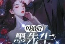 小说《闪离后：墨先生别来无恙》完整版章节免费阅读-酷猫文学