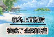 在岛上直播后，我成了全网顶流免费阅读，在岛上直播后，我成了全网顶流章节在线阅读-酷猫文学
