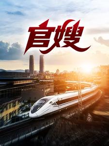 《官嫂》小说章节列表免费试读，张元庆柳婷小说在线阅读