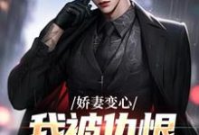 娇妻变心，我被仇恨占据了全身路无铭墨凉馨小说免费阅读-酷猫文学