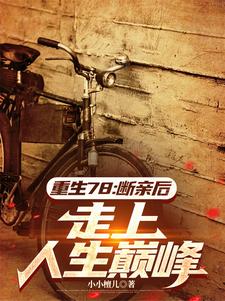 《重生78：断亲后，走上人生巅峰》陆远小说免费阅读完整版