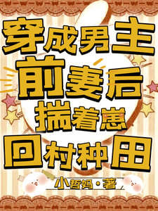 穿成男主前妻后，揣着崽回村种田小说阅读，穿成男主前妻后，揣着崽回村种田完结版