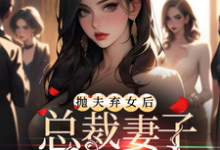 抛夫弃女后,总裁妻子跪求原谅小说的免费阅读版本在哪里可以找到?-酷猫文学