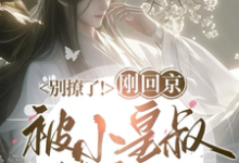 小说《别撩了！刚回京被小皇叔撩红温》章节免费阅读-酷猫文学