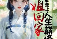 小说完整版《长姐回家,带领全家走上人生巅峰》免费阅读-酷猫文学