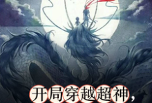 苏逸辰完整版小说免费阅读-酷猫文学