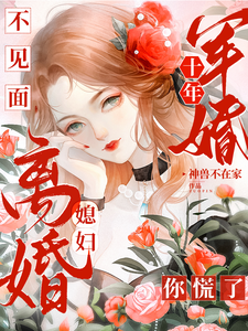 寻找军婚十年不见面，媳妇离婚你慌了小说的最新更新章节