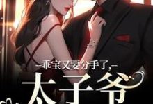 小说《乖宝又要分手了，太子爷求贴贴》章节免费阅读-酷猫文学
