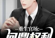 林峰完整版小说《重生官场：问鼎权利之巅》免费阅读-酷猫文学