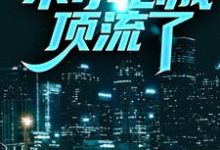 求兼职明星：不小心成顶流了小说的全文免费阅读链接-酷猫文学