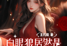 穿越八零:白眼狼居然是我养姐小说阅读,穿越八零:白眼狼居然是我养姐完结版-酷猫文学