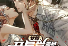《女尊：开局觉醒逆天颜值系统》小说白木章节章节免费在线阅读-酷猫文学