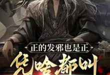 正的发邪也是正，凭啥都叫我魔头陆风小说免费阅读-酷猫文学