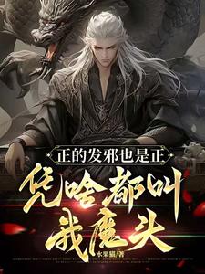 正的发邪也是正，凭啥都叫我魔头陆风小说免费阅读