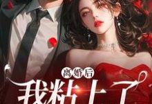 在线免费阅读离婚后,我粘上了那位大佬完整小说-酷猫文学