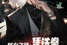 步青云小说免费阅读完整版-酷猫文学