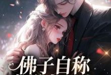 小说《佛子自称空巢老男人？我真的笑了》章节免费阅读-酷猫文学