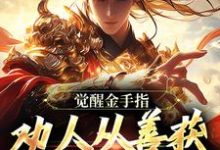 《觉醒金手指：劝人从善获决定武力值》沈舟完整版小说免费阅读-酷猫文学