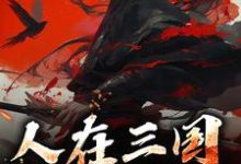 人在三国，一统江山完整版小说，人在三国，一统江山刘锦-酷猫文学